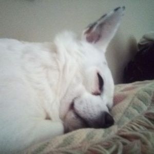 Meet your Posher, Pratt